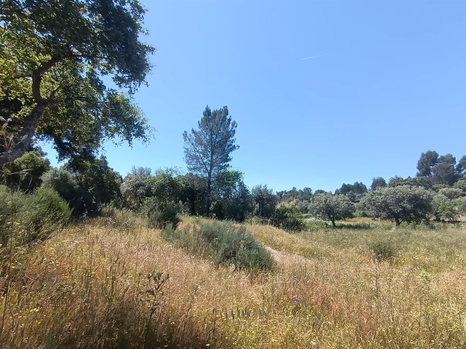 Terreno Agricola ou Rústico para Venda em Aldeia do Bispo, Águas e Aldeia de João Pires Foto 14