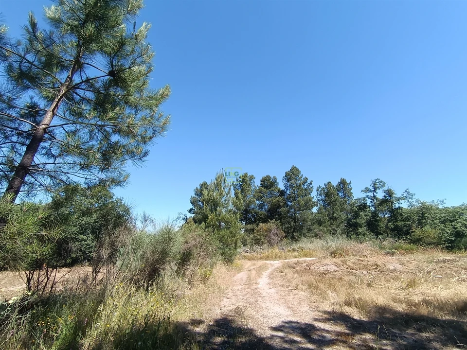 Terreno Agricola ou Rústico para Venda em Aldeia do Bispo, Águas e Aldeia de João Pires Foto 11