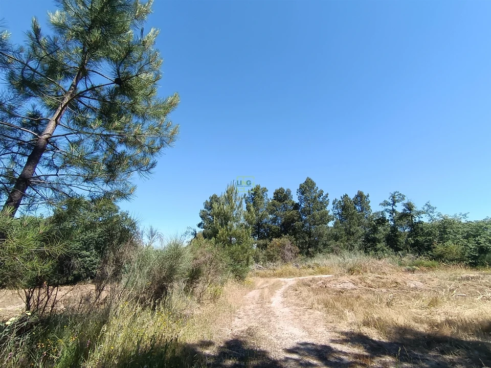 Terreno Agricola ou Rústico para Venda em Aldeia do Bispo, Águas e Aldeia de João Pires Foto 10