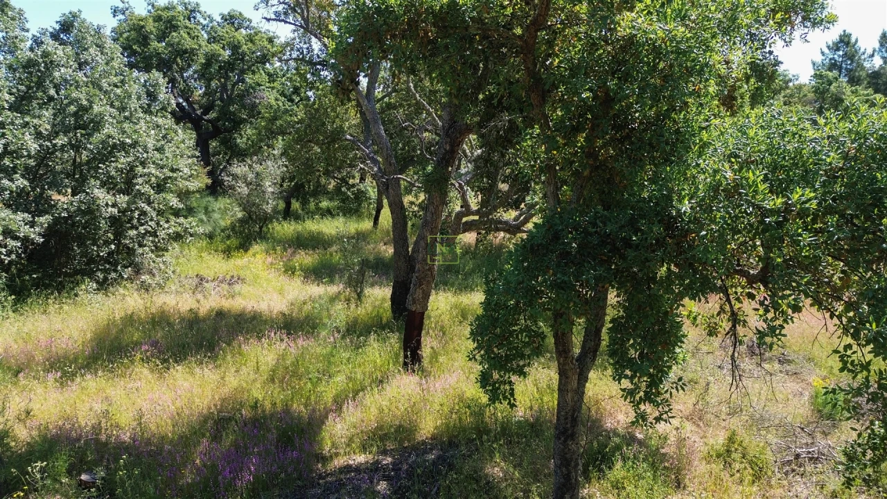 Terreno Agricola ou Rústico para Venda em Aldeia do Bispo, Águas e Aldeia de João Pires Foto 22