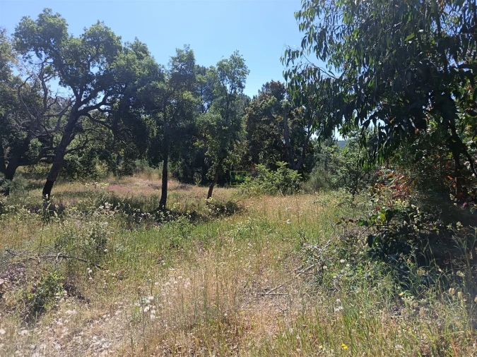Terreno Agricola ou Rústico para Venda em Aldeia do Bispo, Águas e Aldeia de João Pires Foto 3