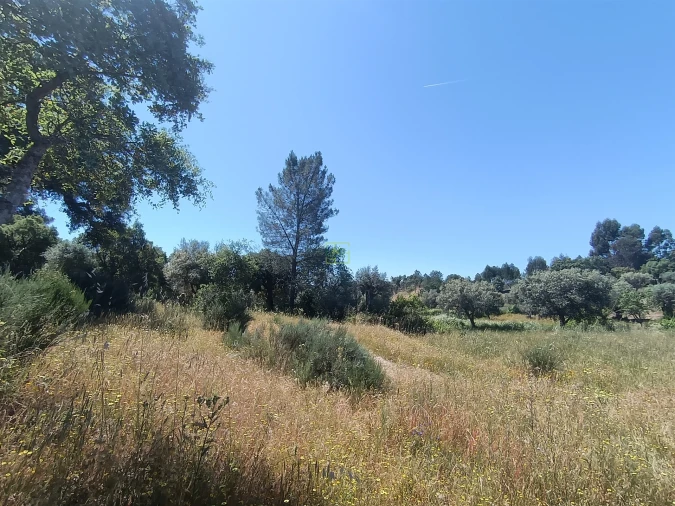Terreno Agricola ou Rústico para Venda em Aldeia do Bispo, Águas e Aldeia de João Pires Foto 15