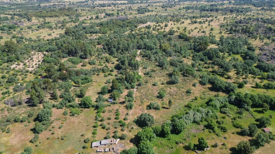Terreno Agricola ou Rústico para Venda em Aldeia do Bispo, Águas e Aldeia de João Pires Foto 17