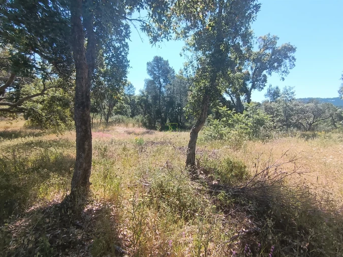 Terreno Agricola ou Rústico para Venda em Aldeia do Bispo, Águas e Aldeia de João Pires Foto 4