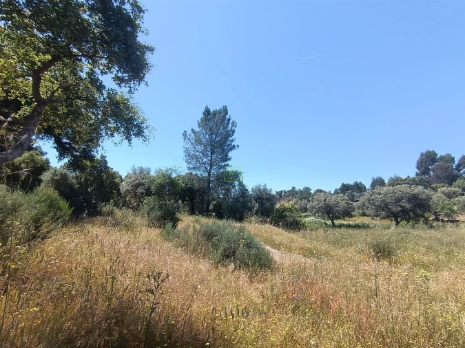 Terreno Agricola ou Rústico para Venda em Aldeia do Bispo, Águas e Aldeia de João Pires Foto 14