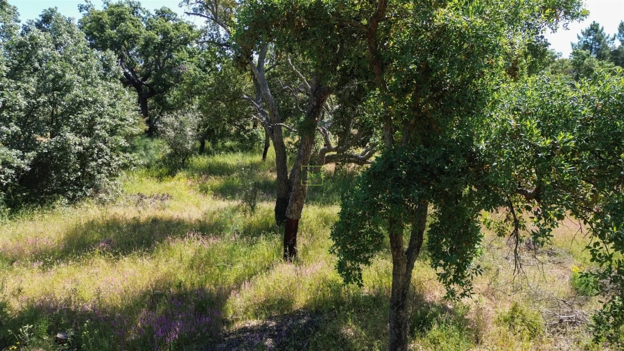 Terreno Agricola ou Rústico para Venda em Aldeia do Bispo, Águas e Aldeia de João Pires Foto 22