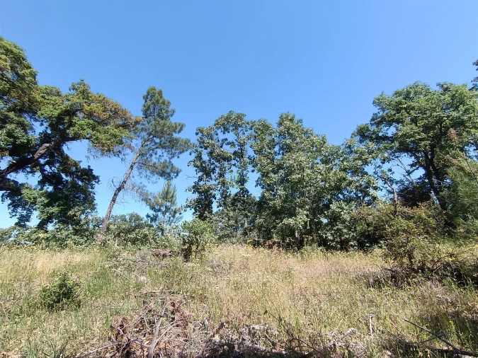 Terreno Agricola ou Rústico para Venda em Aldeia do Bispo, Águas e Aldeia de João Pires Foto 6