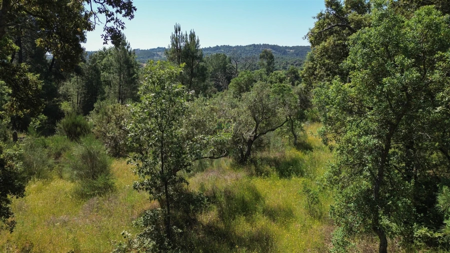 Terreno Agricola ou Rústico para Venda em Aldeia do Bispo, Águas e Aldeia de João Pires Foto 24
