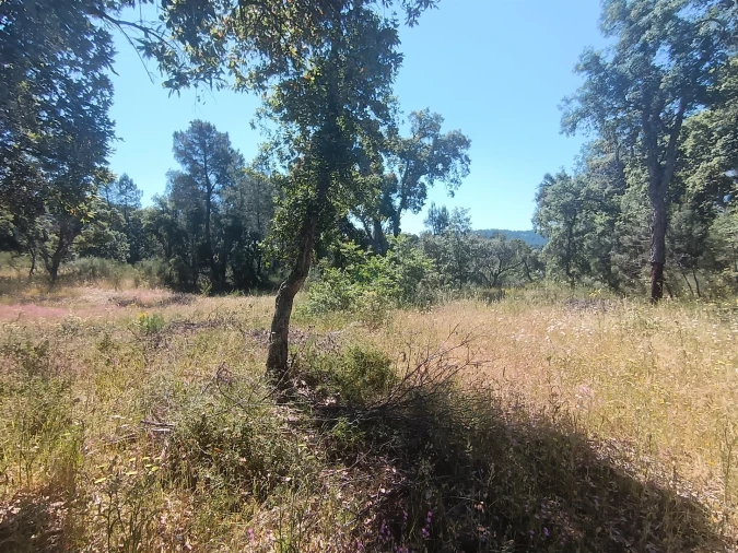 Terreno Agricola ou Rústico para Venda em Aldeia do Bispo, Águas e Aldeia de João Pires Foto 5