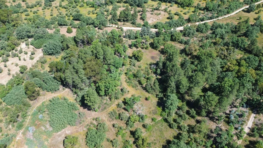 Terreno Agricola ou Rústico para Venda em Aldeia do Bispo, Águas e Aldeia de João Pires Foto 20