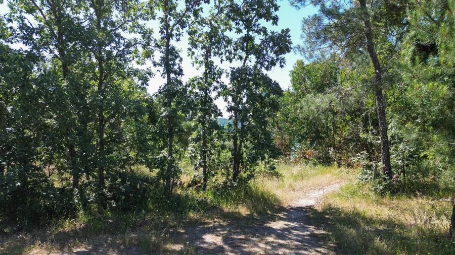 Terreno Agricola ou Rústico para Venda em Aldeia do Bispo, Águas e Aldeia de João Pires Foto 16