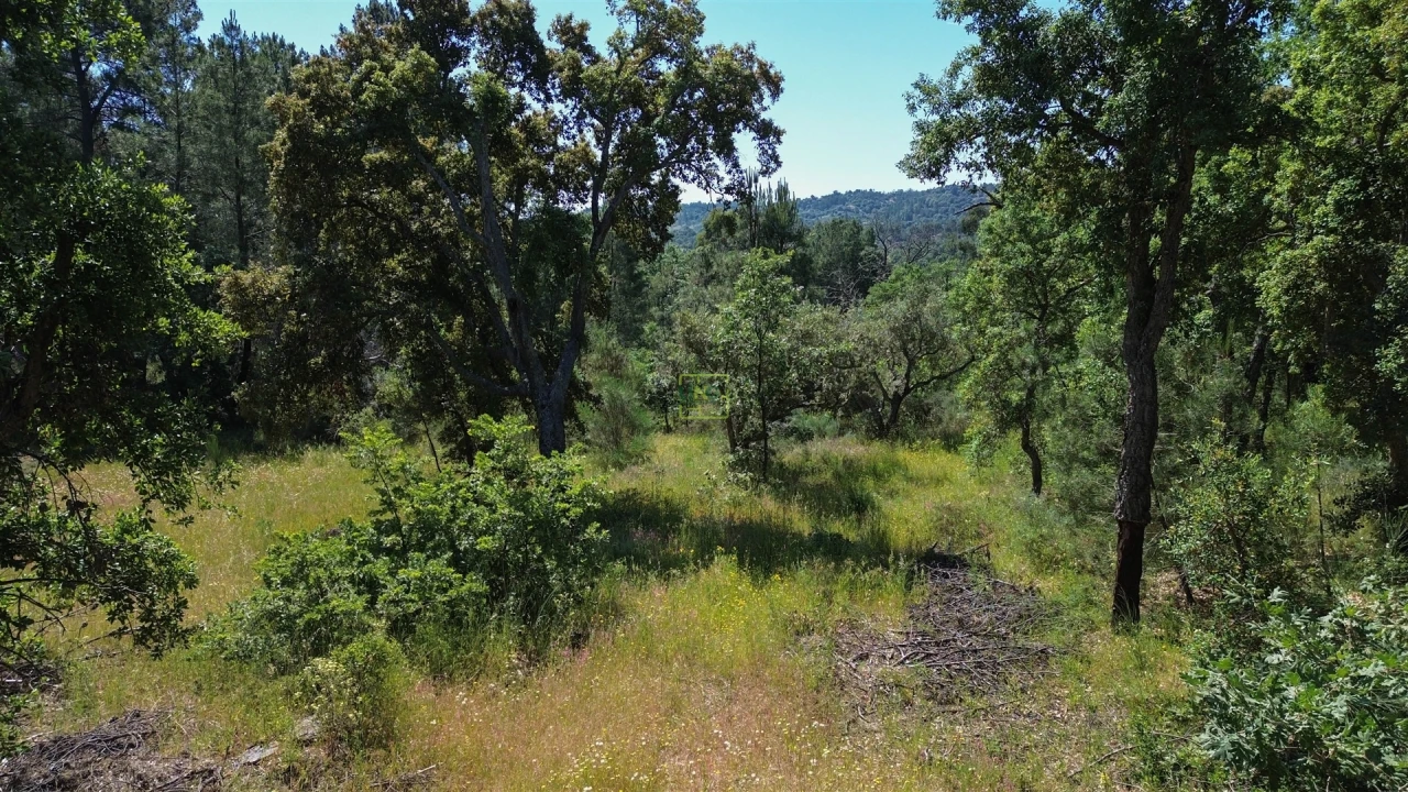 Terreno Agricola ou Rústico para Venda em Aldeia do Bispo, Águas e Aldeia de João Pires Foto 23