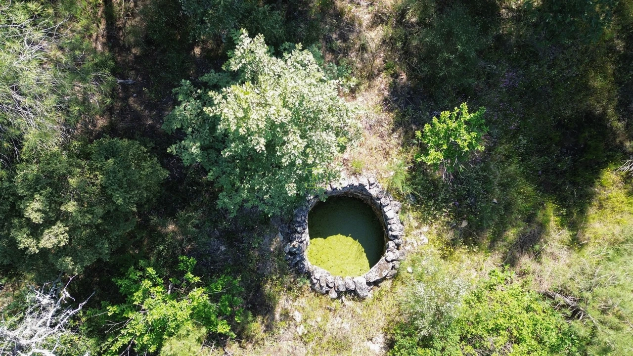Terreno Agricola ou Rústico para Venda em Aldeia do Bispo, Águas e Aldeia de João Pires Foto 18