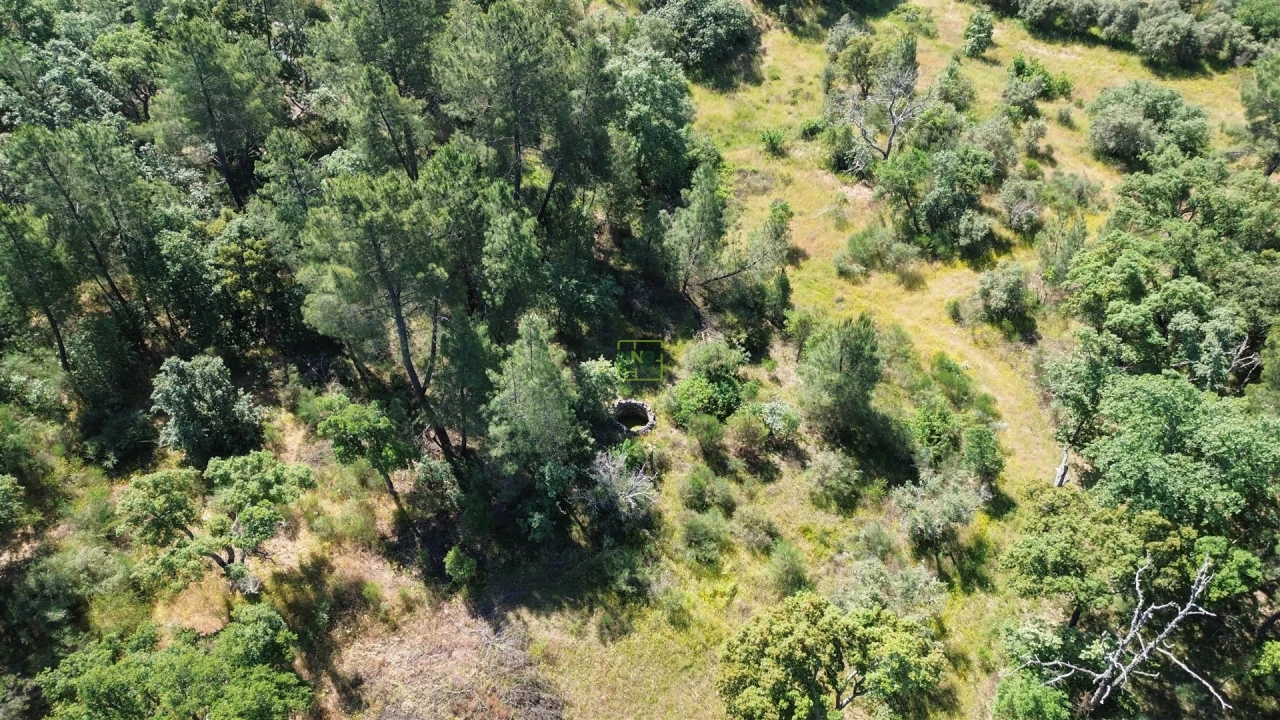 Terreno Agricola ou Rústico para Venda em Aldeia do Bispo, Águas e Aldeia de João Pires Foto 19