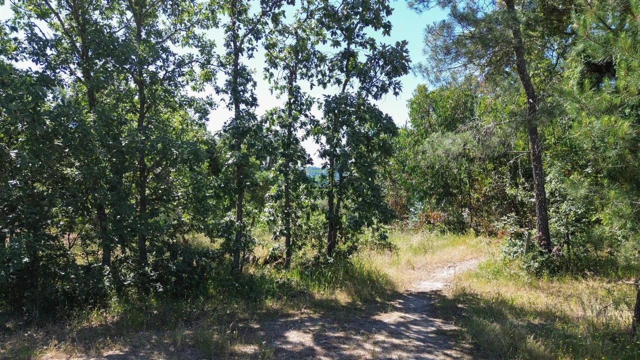 Terreno Agricola ou Rústico para Venda em Aldeia do Bispo, Águas e Aldeia de João Pires Foto 16