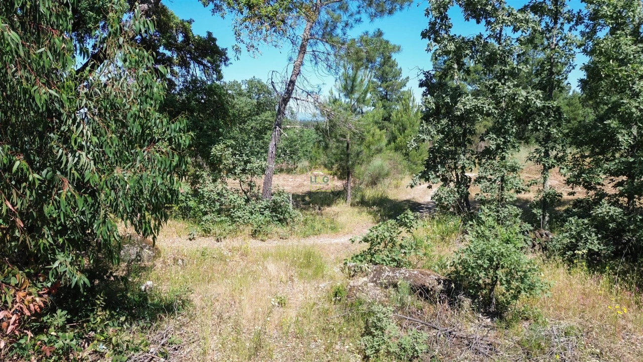 Terreno Agricola ou Rústico para Venda em Aldeia do Bispo, Águas e Aldeia de João Pires Foto 21