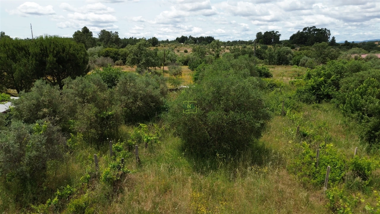 Terreno Agricola ou Rústico para Venda em Penamacor Foto 18