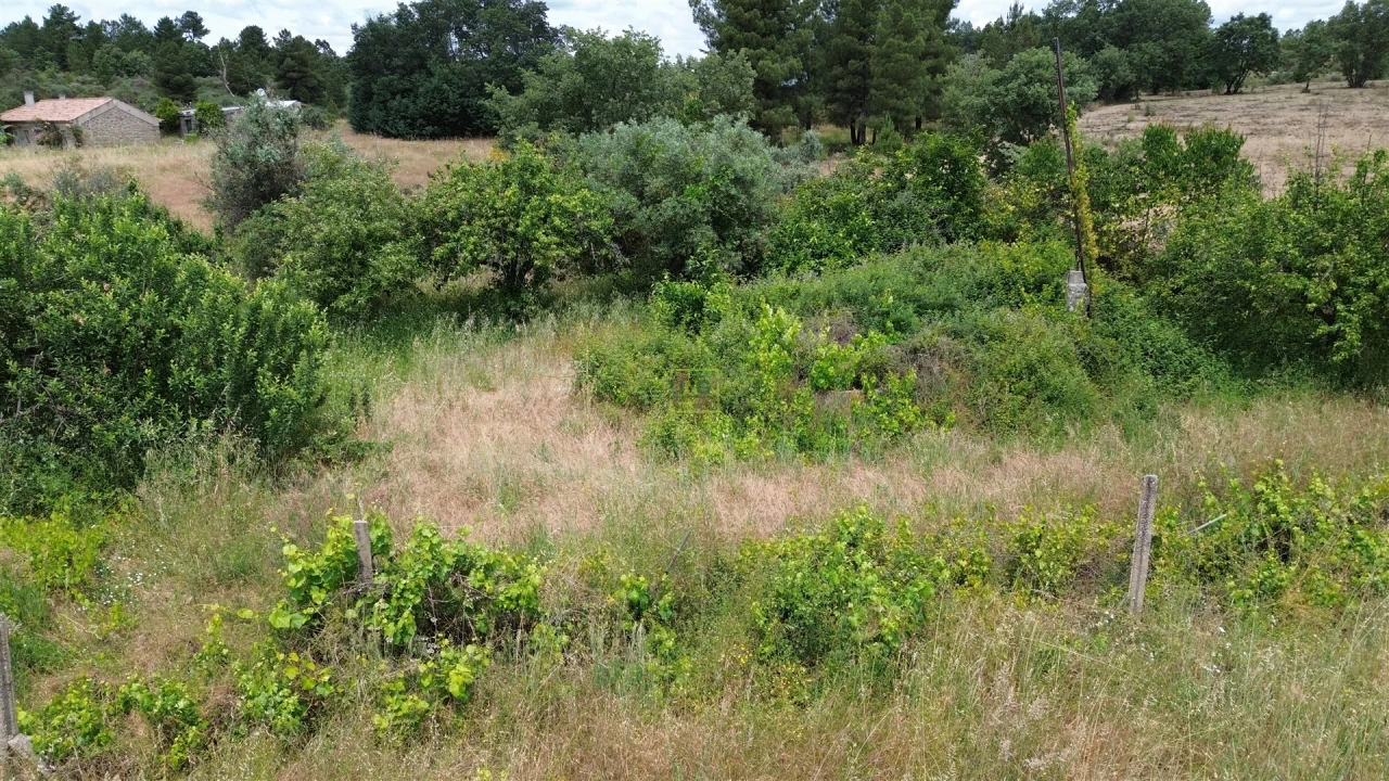 Terreno Agricola ou Rústico para Venda em Penamacor Foto 22