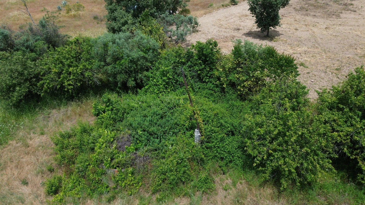 Terreno Agricola ou Rústico para Venda em Penamacor Foto 16