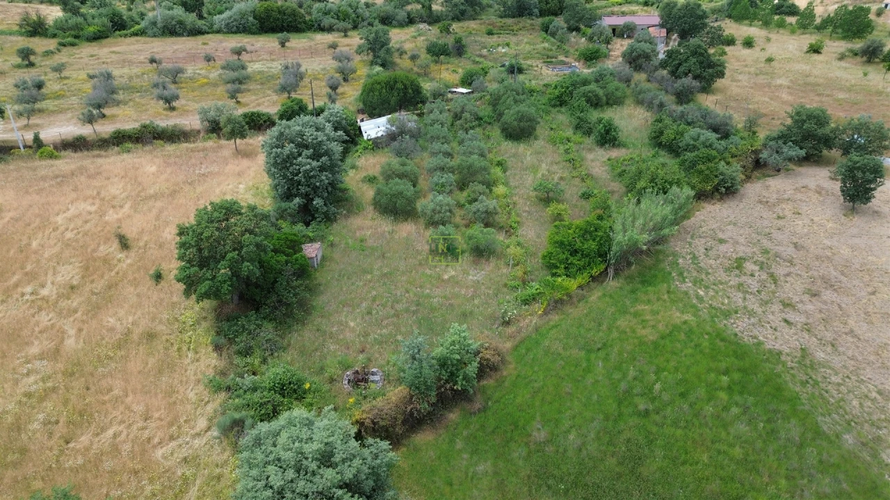 Terreno Agricola ou Rústico para Venda em Penamacor Foto 25