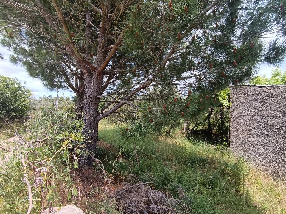 Terreno Agricola ou Rústico para Venda em Penamacor Foto 30