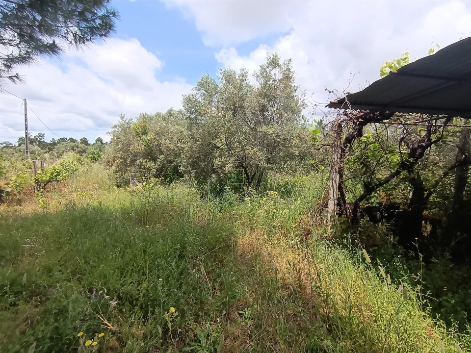 Terreno Agricola ou Rústico para Venda em Penamacor Foto 31