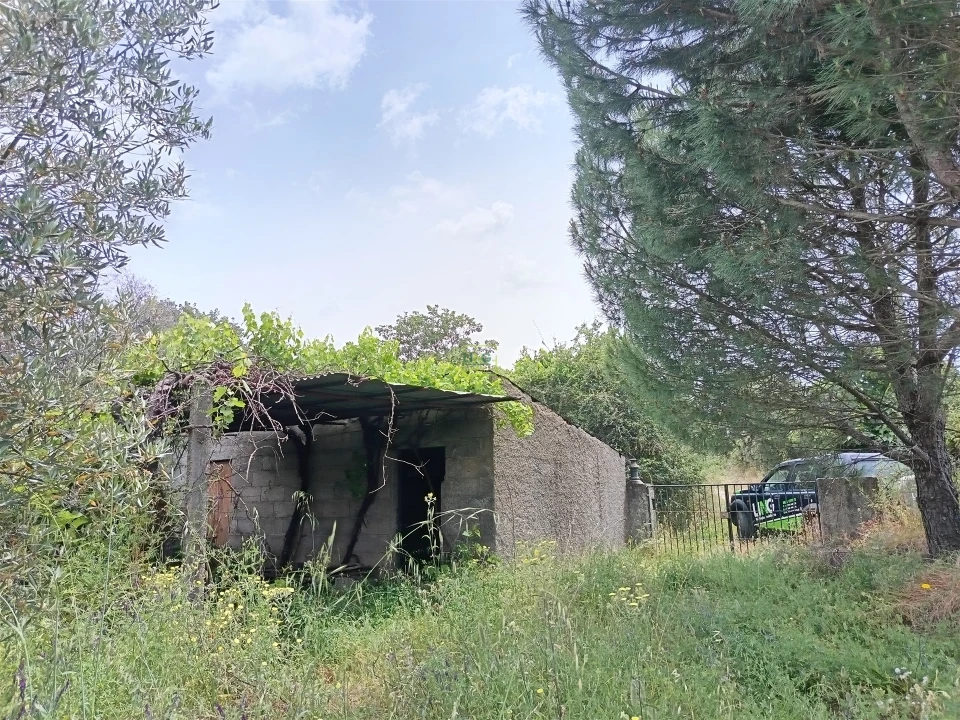Terreno Agricola ou Rústico para Venda em Penamacor Foto 33