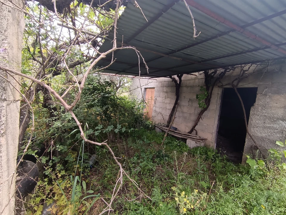 Terreno Agricola ou Rústico para Venda em Penamacor Foto 32
