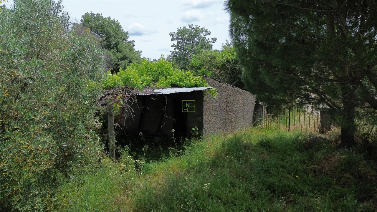 Terreno Agricola ou Rústico para Venda em Penamacor Foto 10