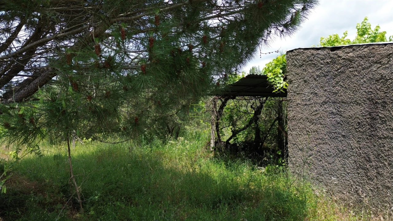 Terreno Agricola ou Rústico para Venda em Penamacor Foto 26