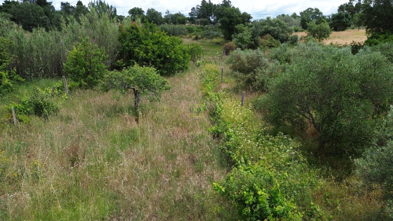 Terreno Agricola ou Rústico para Venda em Penamacor Foto 24