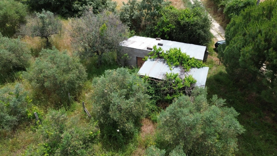 Terreno Agricola ou Rústico para Venda em Penamacor Foto 19