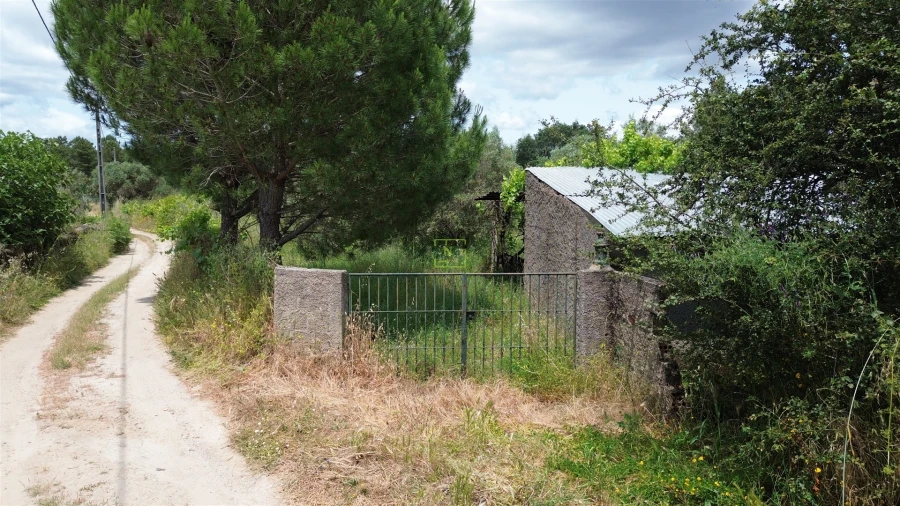 Terreno Agricola ou Rústico para Venda em Penamacor Foto 2