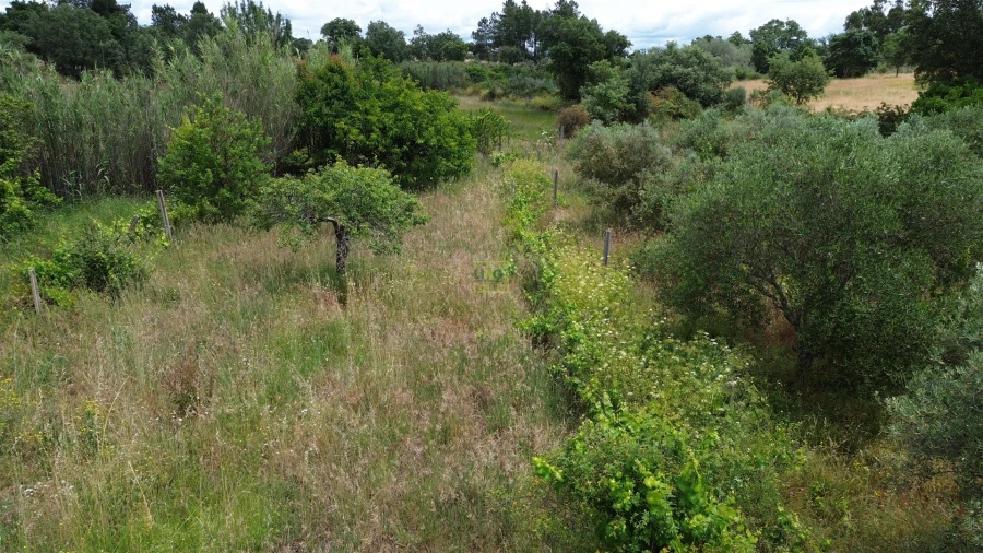 Terreno Agricola ou Rústico para Venda em Penamacor Foto 24
