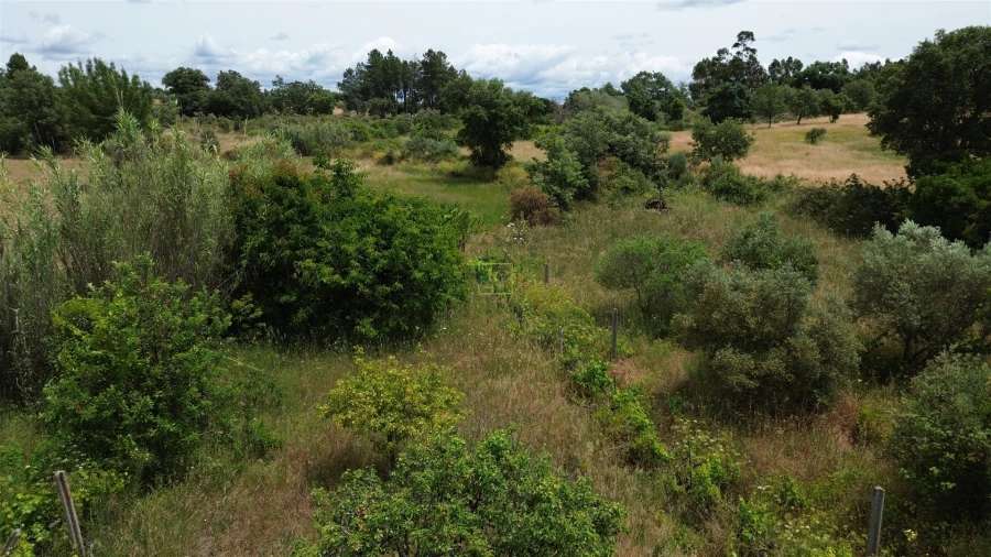Terreno Agricola ou Rústico para Venda em Penamacor Foto 17