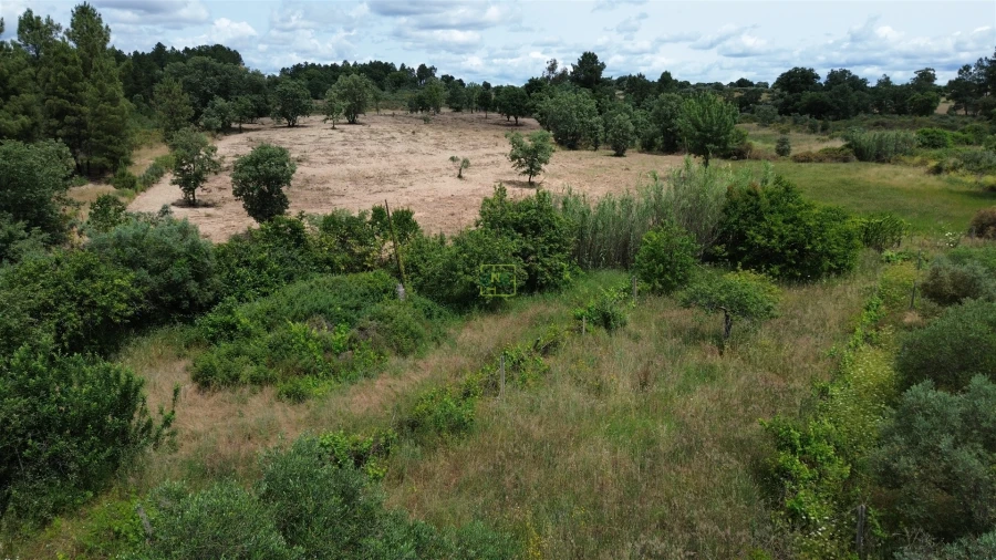 Terreno Agricola ou Rústico para Venda em Penamacor Foto 20