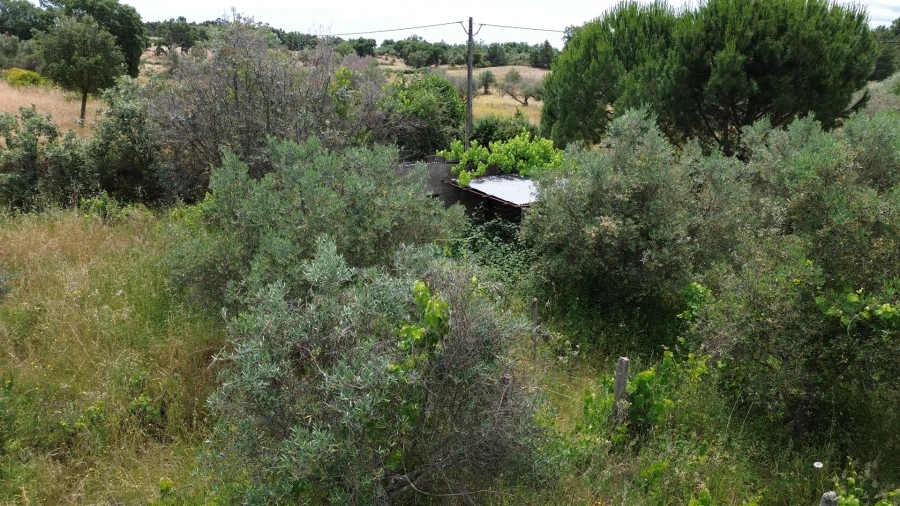 Terreno Agricola ou Rústico para Venda em Penamacor Foto 23