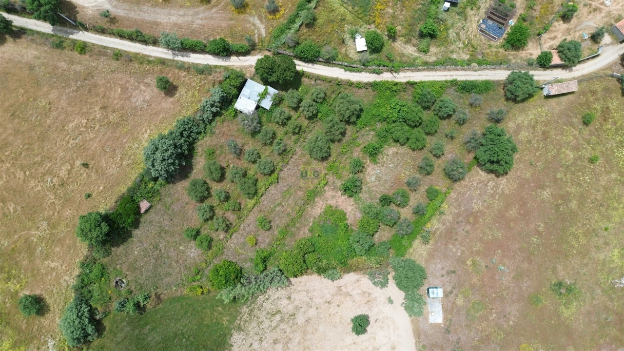 Terreno Agricola ou Rústico para Venda em Penamacor Foto 13