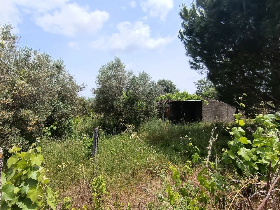 Terreno Agricola ou Rústico para Venda em Penamacor Foto 5