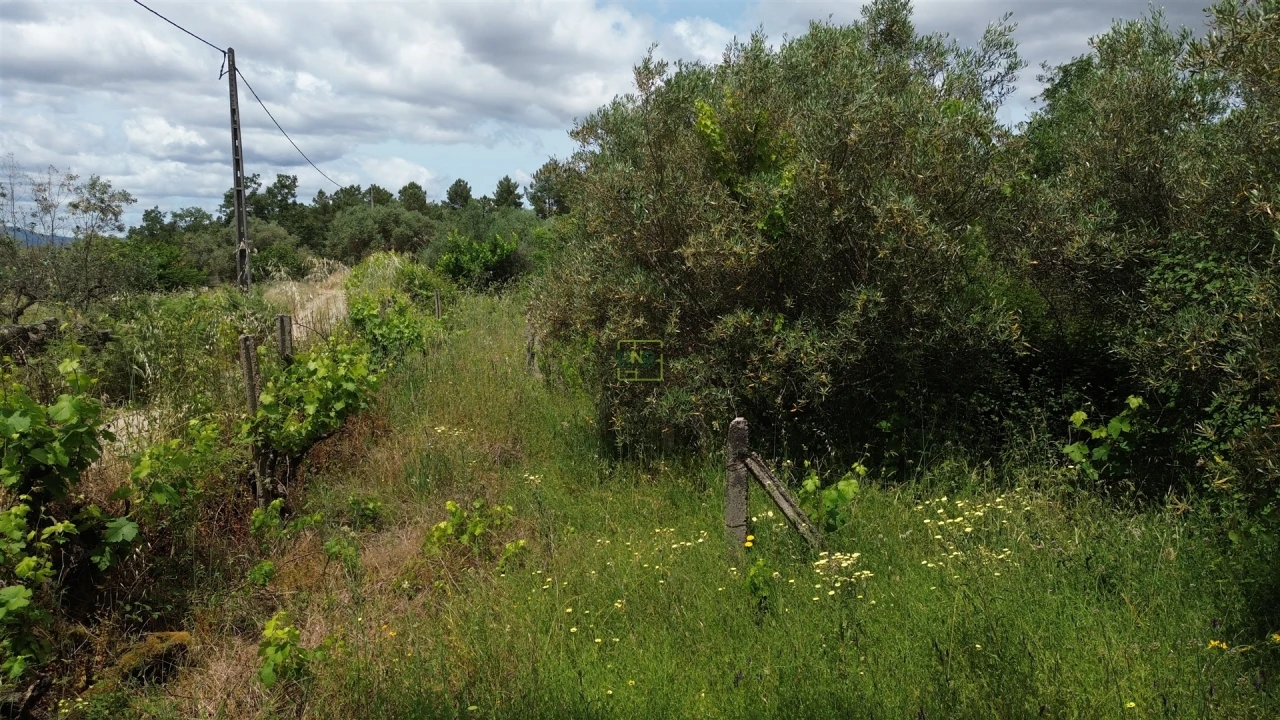 Terreno Agricola ou Rústico para Venda em Penamacor Foto 12