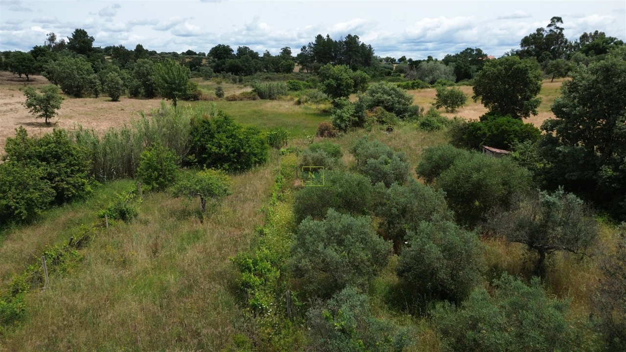 Terreno Agricola ou Rústico para Venda em Penamacor Foto 21