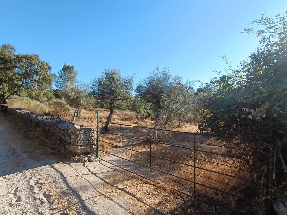 Terreno Agricola ou Rústico para Venda em Aldeia do Bispo, Águas e Aldeia de João Pires Foto 30