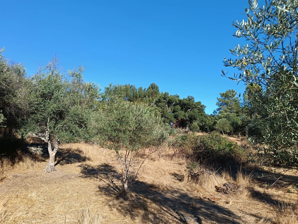 Terreno Agricola ou Rústico para Venda em Aldeia do Bispo, Águas e Aldeia de João Pires Foto 14