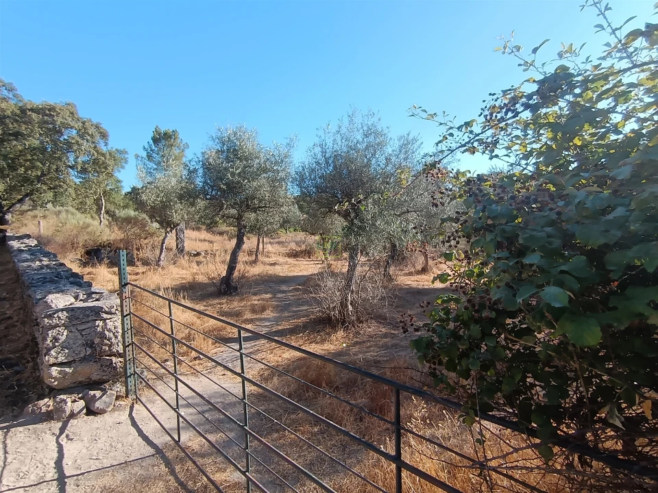 Terreno Agricola ou Rústico para Venda em Aldeia do Bispo, Águas e Aldeia de João Pires Foto 28