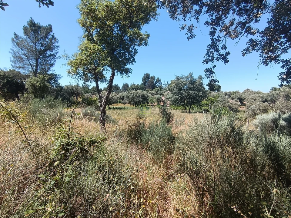 Terreno Agricola ou Rústico para Venda em Aldeia do Bispo, Águas e Aldeia de João Pires Foto 10