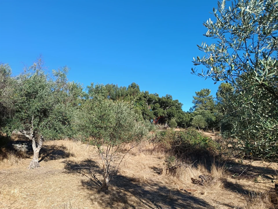 Terreno Agricola ou Rústico para Venda em Aldeia do Bispo, Águas e Aldeia de João Pires Foto 13