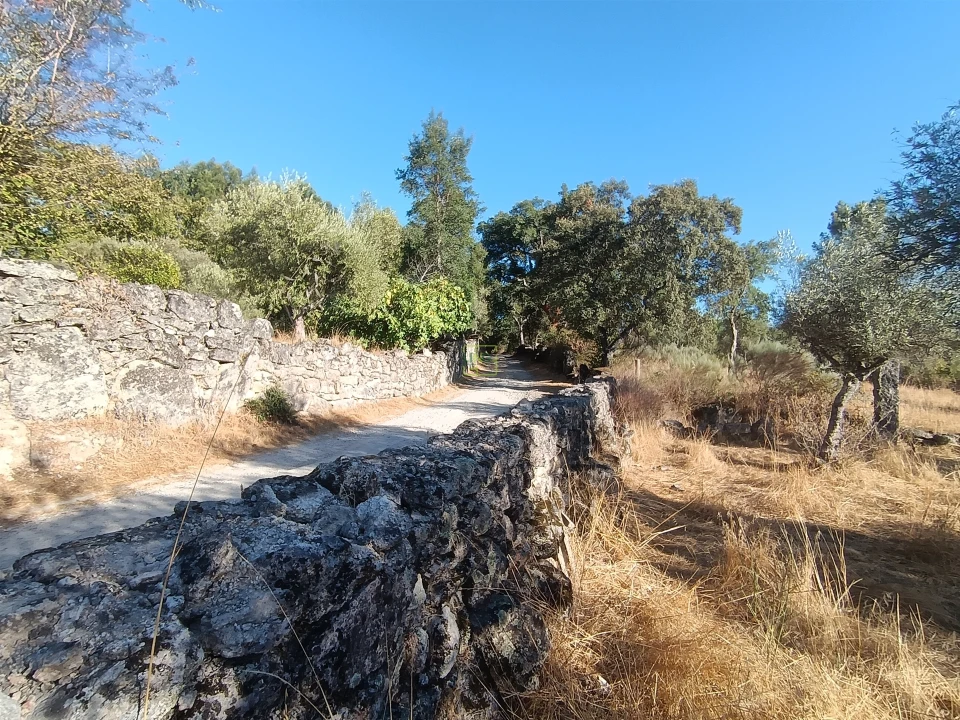 Terreno Agricola ou Rústico para Venda em Aldeia do Bispo, Águas e Aldeia de João Pires Foto 2