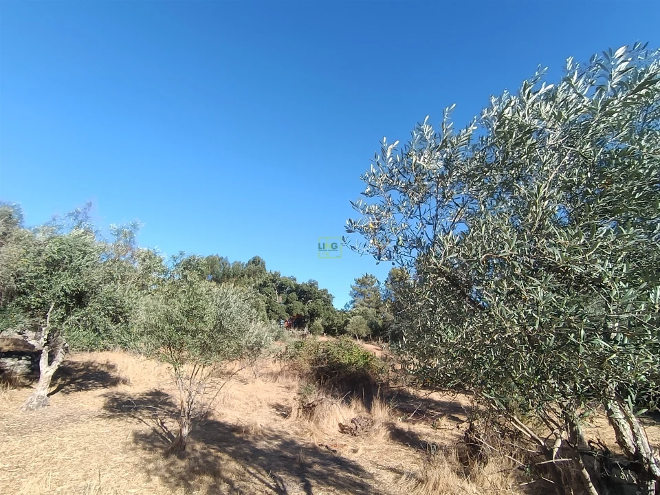 Terreno Agricola ou Rústico para Venda em Aldeia do Bispo, Águas e Aldeia de João Pires Foto 18
