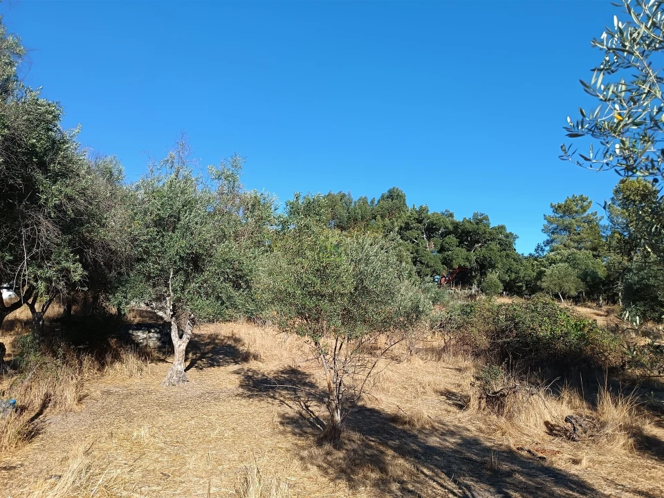 Terreno Agricola ou Rústico para Venda em Aldeia do Bispo, Águas e Aldeia de João Pires Foto 4