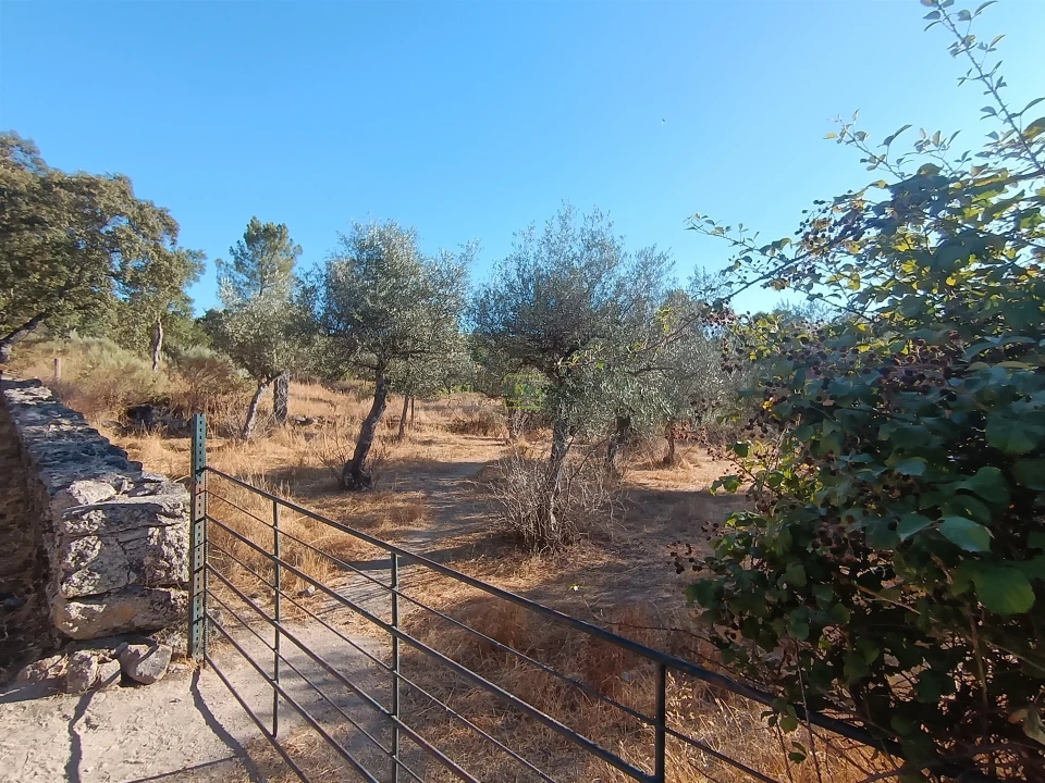 Terreno Agricola ou Rústico para Venda em Aldeia do Bispo, Águas e Aldeia de João Pires Foto 29